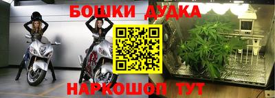 ГАЛЛЮЦИНОГЕННЫЕ ГРИБЫ Бузулук