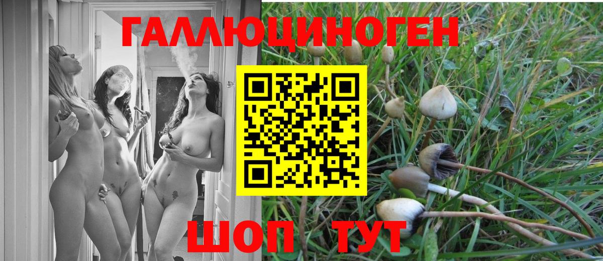Псилоцибиновые грибы GOLDEN TEACHER  Вход с VPN  Галлюциногенные грибы ЛСД  Сарапул 