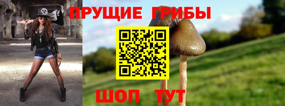 Галлюциногенные грибы Psilocybine cubensis Сарапул